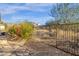 Landscaped backyard with a mountain view and wrought iron fence at 11729 N 134Th St, Scottsdale, AZ 85259