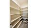 Large pantry with ample shelving for storage at 3448 E Spring Wheat Ln, Gilbert, AZ 85296