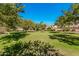 Lush green space perfect for relaxing or recreation at 5720 W Robb Ln, Glendale, AZ 85310