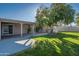 Spacious backyard with a covered patio, lush lawn, and fruit trees at 6630 E Dreyfus Ave, Scottsdale, AZ 85254