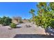 Landscaped backyard with citrus trees and desert plants at 9 N Agua Fria Ln, Casa Grande, AZ 85194