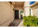 Front entry with decorative door and potted plant at 10428 E Hercules Dr, Sun Lakes, AZ 85248