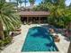 A stunning outdoor pool is surrounded by palm trees, a patio, and a covered lounge area for ultimate relaxation at 11571 E Cochise Dr, Scottsdale, AZ 85259