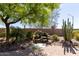 Serene backyard with a waterfall feature, cacti, and desert landscaping at 28175 N 123Rd Ln, Peoria, AZ 85383