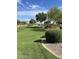 Landscaped community park with grassy area at 42244 W Calle St, Maricopa, AZ 85138