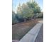 Landscaped backyard with fruit trees and a paved pathway at 14371 W Morning Star Trl, Surprise, AZ 85374