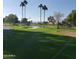 Peaceful golf course view with water feature and palm trees at 14371 W Morning Star Trl, Surprise, AZ 85374