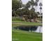 Landscaped golf course with pond and palm trees at 14371 W Morning Star Trl, Surprise, AZ 85374