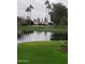 Serene lake view with lush green grass and palm trees at 14371 W Morning Star Trl, Surprise, AZ 85374
