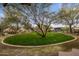 Landscaped lawn with mature trees and walking path at 2357 W Gloria Ln, Phoenix, AZ 85085