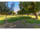 Landscaped community green space with mature trees at 12923 W Ballad Dr, Sun City West, AZ 85375