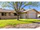 House exterior showcasing a large tree and spacious yard at 12923 W Ballad Dr, Sun City West, AZ 85375