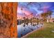 Stunning lake view with reflecting palm trees at sunset at 2256 W Lindner Ave # 25, Mesa, AZ 85202