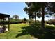 Spacious backyard with a pergola, large trees, and lush grass at 23046 N 21St St, Phoenix, AZ 85024