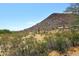 Empty desert lot with mountain in the background at 23046 N 21St St, Phoenix, AZ 85024