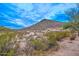 Desert view with mountain, desert plants, and houses at 23046 N 21St St, Phoenix, AZ 85024