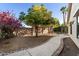 Landscaped side yard with a curved pathway and fruit trees at 2336 Leisure World --, Mesa, AZ 85206