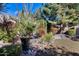 Landscaped garden with cacti, succulents, and flowering plants at 26646 N 46Th Pl, Cave Creek, AZ 85331