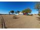 House with a gravel driveway and desert landscaping at 6328 N 126Th Ave, Litchfield Park, AZ 85340