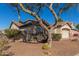 Single-story house with a tree and xeriscaping at 7432 E Melrose St, Mesa, AZ 85207