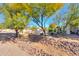 Landscaped backyard with stone pathway and trees at 922 E Desert Hills Estate Dr, Phoenix, AZ 85086