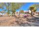 Landscaped front yard with mature trees and drought-tolerant plants at 922 E Desert Hills Estate Dr, Phoenix, AZ 85086