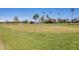 Putting green with palm trees and clear sky at 120 N Val Vista Dr # 186, Mesa, AZ 85213