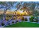 Landscaped backyard with artificial turf and sunset views at 12079 E Cortez Dr, Scottsdale, AZ 85259
