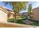 Community courtyard with grassy area, picnic tables, and BBQ grills at 1331 W Baseline Rd # 251, Mesa, AZ 85202