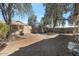 Expansive backyard offers ample space, gravel landscaping, mature trees, and privacy wall at 15144 W Washington St, Goodyear, AZ 85338