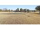 A serene community pond is surrounded by lush greenery, perfect for peaceful strolls and relaxation at 19339 N Madison Rd, Maricopa, AZ 85139