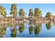 A serene community pond offers a picturesque waterfront view, enhancing the neighborhood's natural beauty at 19339 N Madison Rd, Maricopa, AZ 85139