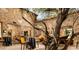 Inviting outdoor space with tables, chairs, and a beautiful stone wall with large tree at 210 E Bergamot Ln, Queen Creek, AZ 85140