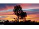 Beautiful sunset view over the golf course at 25244 S Saddletree Dr, Sun Lakes, AZ 85248