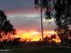 Dramatic sunset view over trees and golf course at 25244 S Saddletree Dr, Sun Lakes, AZ 85248
