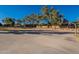 Basketball court near a shaded park area at 2734 E Birchwood Pl, Chandler, AZ 85249