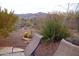 Relaxing backyard patio with mountain views and native plants at 10400 E Breathless Ave, Gold Canyon, AZ 85118