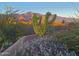 Stunning mountain view with cacti and desert landscape at 10400 E Breathless Ave, Gold Canyon, AZ 85118