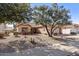 Spanish style home with rock pathway, mature trees, and desert landscaping at 14137 W Via Manana --, Sun City West, AZ 85375