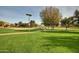 Community park featuring grassy areas and basketball court at 14749 N 153Rd Dr, Surprise, AZ 85379