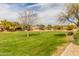 Expansive green lawn area with mature trees at 14749 N 153Rd Dr, Surprise, AZ 85379