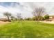 Expansive green lawn area with mature trees at 14749 N 153Rd Dr, Surprise, AZ 85379