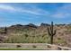 Scenic mountain view with desert landscape and cacti at 14840 E Valley Vista Dr, Fountain Hills, AZ 85268