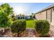 Landscaped backyard featuring artificial turf and lush greenery at 18280 N Piccolo Dr, Maricopa, AZ 85138