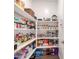 Well-organized pantry with ample shelving for storage at 18280 N Piccolo Dr, Maricopa, AZ 85138