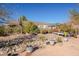 Landscaped backyard with a rock pathway and bridge feature at 28821 N Ashbrook Ln, Queen Creek, AZ 85144