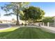 Landscaped front yard with mature trees and walkway at 5505 E Mclellan Rd # 99, Mesa, AZ 85205