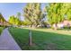 Walkway through a landscaped area with trees and grass at 6125 E Indian School Rd # 180, Scottsdale, AZ 85251