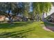 Lush green courtyard with mature trees and grassy areas at 6125 E Indian School Rd # 180, Scottsdale, AZ 85251