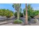 Landscaped backyard oasis with cacti and citrus trees at 7258 E Manzanita Dr, Scottsdale, AZ 85258